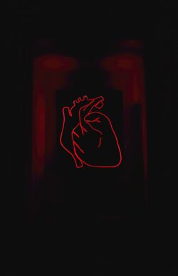 alexandru-acea-1076770-unsplash