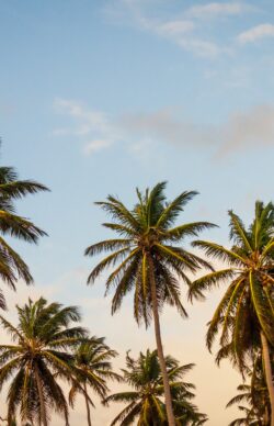 thomas-lefebvre-5691-unsplash